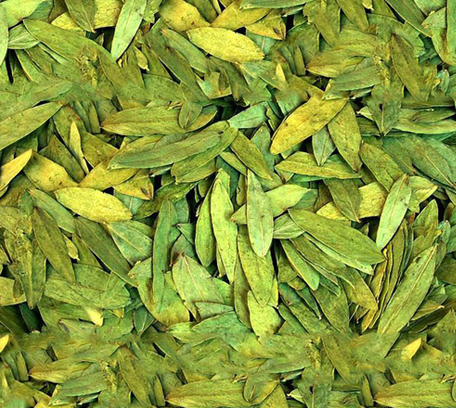 Senna Leaves & Pods